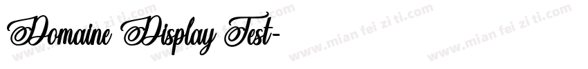 Domaine Display Test字体转换